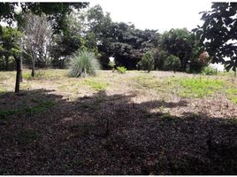  Land for sale at Alajuela, San Ramon, Alajuela