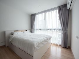 2 Schlafzimmer Wohnung zu vermieten im Chateau In Town Sukhumvit 64/1, Bang Chak, Phra Khanong