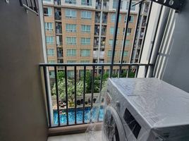 1 Schlafzimmer Wohnung zu verkaufen im Dcondo Campus Resort Kuku Phuket, Ratsada
