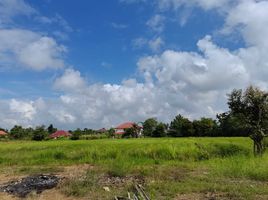  Grundstück zu verkaufen in San Kamphaeng, Chiang Mai, Ton Pao, San Kamphaeng