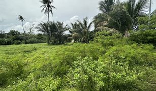 N/A Land for sale in Mai Khao, Phuket 