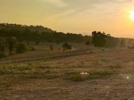  Grundstück zu verkaufen in Pak Chong, Nakhon Ratchasima, Khanong Phra, Pak Chong