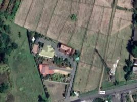  Land for sale in San Kamphaeng, Chiang Mai, Sai Mun, San Kamphaeng