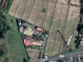  Land for sale in Chiang Mai, Sai Mun, San Kamphaeng, Chiang Mai