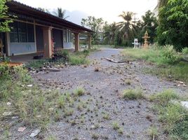  Grundstück zu verkaufen in Mueang Nakhon Sawan, Nakhon Sawan, Nong Pling, Mueang Nakhon Sawan, Nakhon Sawan