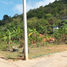  Land for sale in Rawai, Phuket Town, Rawai