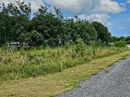  Land for sale in Choeng Thale, Phuket, Choeng Thale, Thalang