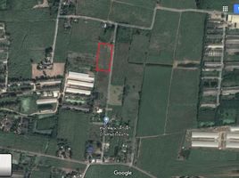  Grundstück zu verkaufen in Photharam, Ratchaburi, Nong Kwang, Photharam