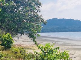  Land for sale in Mae Nang Khao, Khura Buri, Mae Nang Khao