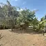  Land for sale in Khlong Song, Pathum Thani, Khlong Song