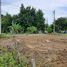  Land for sale in Pa Daet, Mueang Chiang Mai, Pa Daet