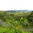  Grundstück zu verkaufen in Renacimiento, Chiriqui, Plaza Caisan, Renacimiento, Chiriqui, Panama