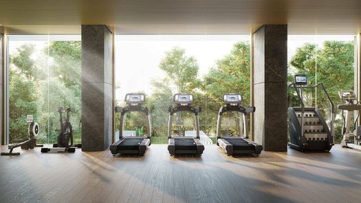 写真 1 of the Communal Gym at Mulberry Grove The Forestias Condominiums