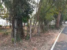  Land for sale in Chang Phueak, Mueang Chiang Mai, Chang Phueak