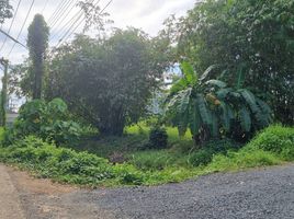  Grundstück zu verkaufen in Thalang, Phuket, Mai Khao