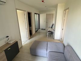 2 Schlafzimmer Appartement zu vermieten im Life Asoke, Bang Kapi