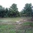  Land for sale in Na An, Mueang Loei, Na An