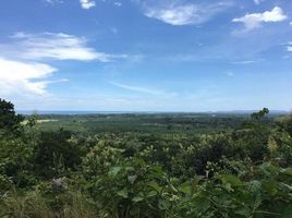  Land for sale in Aguirre, Puntarenas, Aguirre