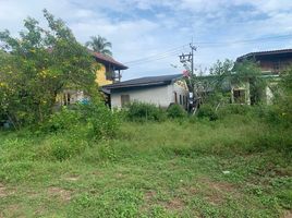  Grundstück zu verkaufen in Ko Yao, Phangnga, Ko Yao Noi, Ko Yao