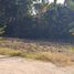  Land for sale in Ron Thong, Buri Ram, Ron Thong, Satuek, Buri Ram
