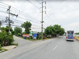  Grundstück zu verkaufen in Sam Khok, Pathum Thani, Chiang Rak Yai