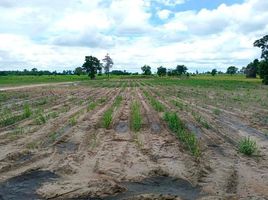  Grundstück zu verkaufen in Doem Bang Nang Buat, Suphan Buri, Bo Kru, Doem Bang Nang Buat