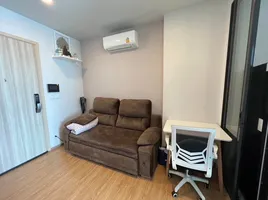 คอนโด 1 ห้องนอน ให้เช่า ในโครงการ ชีวาทัย เกษตร - นวมินทร์, เสนานิคม, จตุจักร, กรุงเทพมหานคร, ไทย