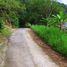  Land for sale in Phuket, Patong, Kathu, Phuket