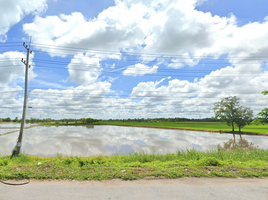  Grundstück zu verkaufen in Banphot Phisai, Nakhon Sawan, Ban Daen, Banphot Phisai