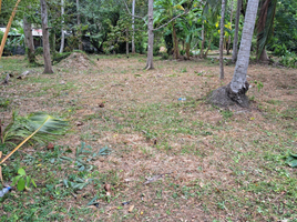  Land for sale in Samui International Airport, Bo Phut, Maret