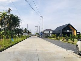  Land for sale in Krathum Rai, Nong Chok, Krathum Rai