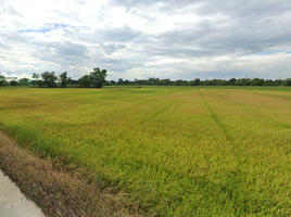  Grundstück zu verkaufen in Phachi, Phra Nakhon Si Ayutthaya, Don Ya Nang