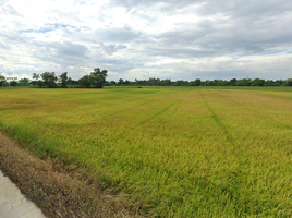  Land for sale in Phra Nakhon Si Ayutthaya, Don Ya Nang, Phachi, Phra Nakhon Si Ayutthaya