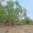  Land for sale in Khlong Luang, Pathum Thani, Khlong Si, Khlong Luang