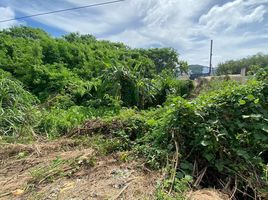  Grundstück zu verkaufen im Land Plot Tala in Rawai, Rawai