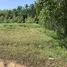  Grundstück zu verkaufen in Pa Khlok, Phuket, Pa Khlok, Thalang