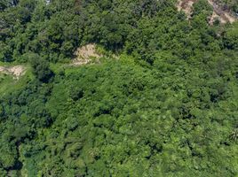  Land for sale in Ang Thong, Koh Samui, Ang Thong