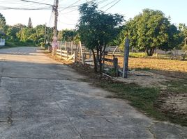  Grundstück zu verkaufen in Mae Rim, Chiang Mai, Don Kaeo