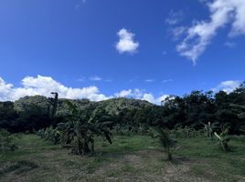  Grundstück zu verkaufen in Thalang, Phuket, Pa Khlok, Thalang, Phuket