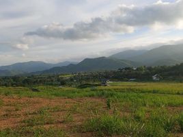  Grundstück zu verkaufen in Suan Phueng, Ratchaburi, Suan Phueng