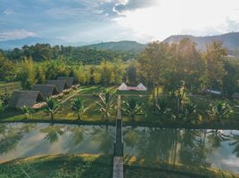 4 Schlafzimmer Hotel / Resort zu verkaufen in Chiang Dao, Chiang Mai, Mueang Na, Chiang Dao