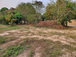 Land for sale in Phayao, Dong Chen, Phu Kamyao, Phayao