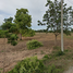  Land for sale in Non Thai, Nakhon Ratchasima, Banlang, Non Thai