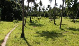 N/A Land for sale in Na Mueang, Koh Samui 