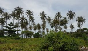 N/A Land for sale in Ko Lanta Yai, Krabi 