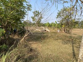  Land for sale in Chum Het, Mueang Buri Ram, Chum Het