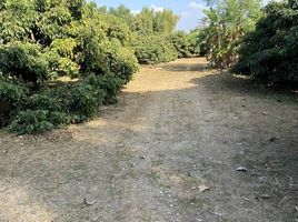  Land for sale in Pa Sang, Lamphun, Tha Tum, Pa Sang