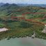  Land for sale in Lo Yung, Takua Thung, Lo Yung