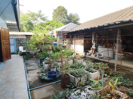 10 Schlafzimmer Reihenhaus zu verkaufen in Mueang Chiang Rai, Chiang Rai, Mueang Chiang Rai, Chiang Rai