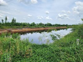  Land for sale in Nakhon Pathom, Bua Pak Tha, Bang Len, Nakhon Pathom